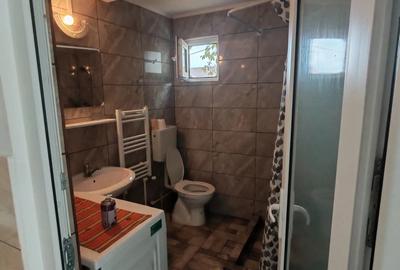 Garsoniera de inchiriat - 4