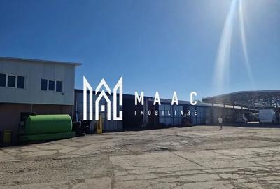 Teren 6400mp I Zona Mixta I Hala I Sibiu - 5