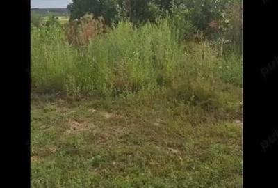 Teren de 3750 mp, în Husasău de Tinca - 2