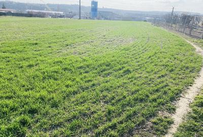 Spațiu comercial, în Lumina - 1