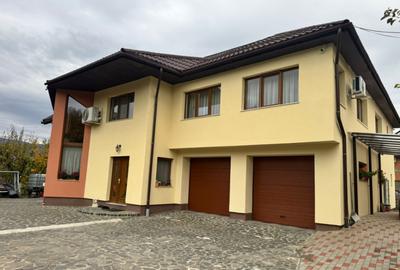 CASA DE VIS SAU AFACERE DE SUCCES BAIA SPRIE - 14