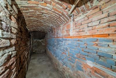 Proprietate speciala cu potential in inima Aradului - 29