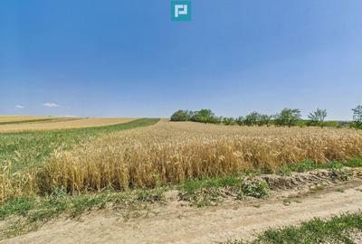 Teren de 12100 mp, în Remetea Mică