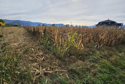 Teren agricol intravilan de 5500 mp, în Central