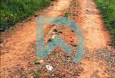 Vanzare teren intravilan, Sanpetru, Livada - 6