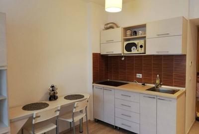 Garsonieră semidecomandată în Runcu - 5