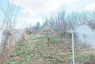 Teren în Central - 2