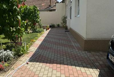 Casă cu 4 camere cu Teren 1100 Mp în Sânandrei - 3