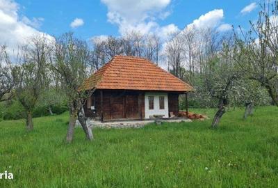 Casă cu 4 camere în Albești - 2