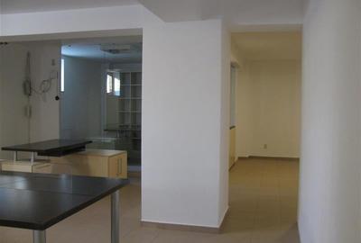 Inchiriere spatiu demisol - 8