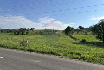 Teren 8,300mp Negresti (Dobreni) / Drumul DEALUL OTEL - 1