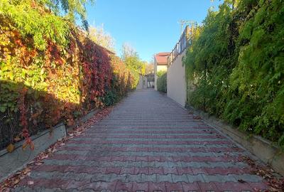 Stirbei Voda, Berzei, casa boiereasca singur curte - 3