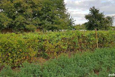 Casă cu 3 camere cu Teren 9228 Mp în Sălceni - 1