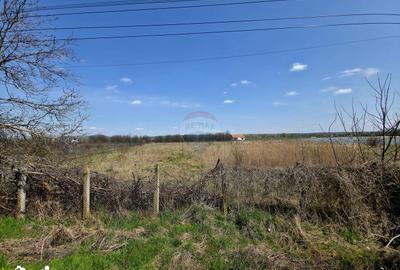 Teren de 7000 mp, în Girov - 5