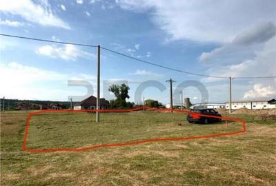 Reco Teren intravilan 600mp Beius - 2