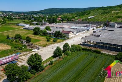 Teren 100.000 mp + Spatii Industriale Bacau - 6