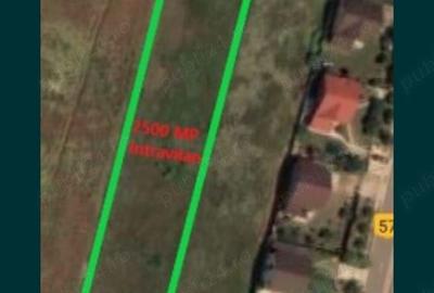 Teren intravilan - 3