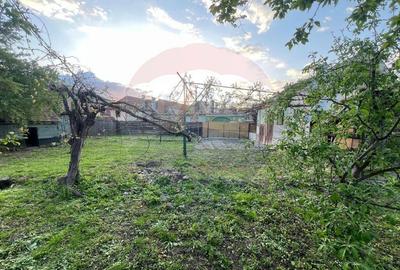 Casă cu 2 camere cu Teren 703 Mp în Gura Râului