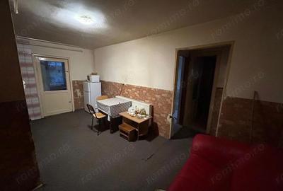 Apartament 2 camere, parter - zona Cetate - 9