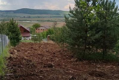 Teren de 600 mp, în Micești - 1