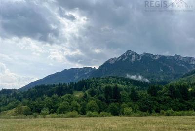 TEREN INTRAVILAN DEOSEBIT, ZARNESTI, VALEA BARSEI - 10