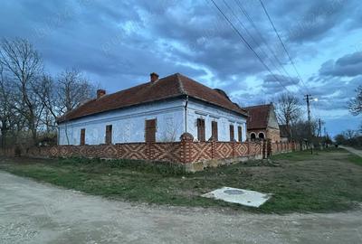 Vand casa cu gradina 3200mp2 - 2