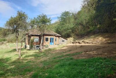 Teren, padure si casa in Dumbrava de Jos, jud. Hunedoara - 17