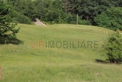Teren intravilan de 6144 mp, în Central - 3