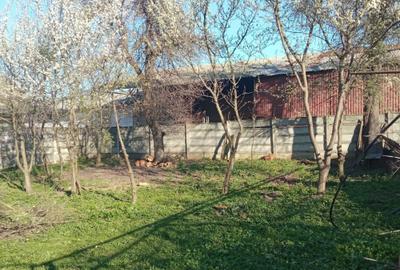 Casă cu 4 camere cu Teren 942 Mp în Mureșeni - 4
