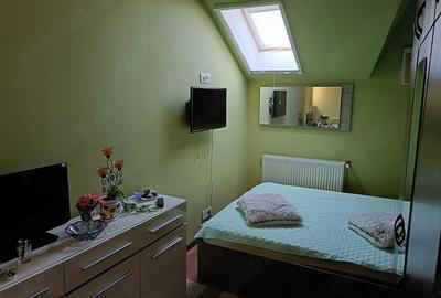 Casă cu Teren 385 Mp în Sântandrei - 9