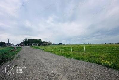 Terenuri cu utilitati, intrare Livada Terenuri cu utilitati, intrare Livada - 3