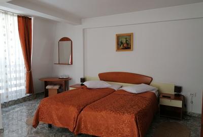 Busteni, ideal azil, hotel - 17