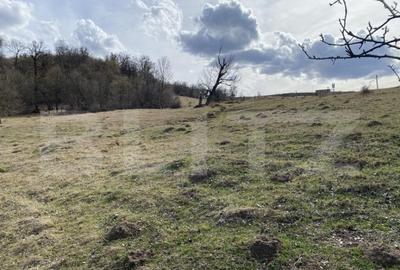 Teren extravilan in suprafata de 7500 mp la poalele Mesesulu - 6