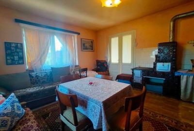 Casa de vanzare/schimb in Panticeu cu gradina mare - 24