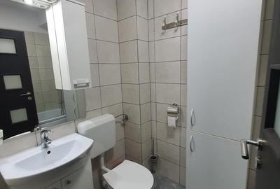 APARATORII PATRIEI , METALURGIEI PARK REZIDENCE,GARSONIERA CU PARCARE APARATORII PATRIEI , METALURGIEI PARK REZIDENCE,GARSONIERA CU PARCARE - 10