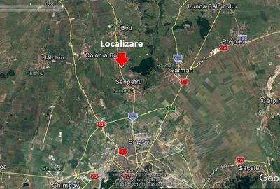 Teren - 95000 mp Teren - 95000 mp - 2