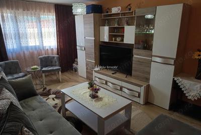 Apartament cu 2 camere decomandat, mobilat în Oravița - 12