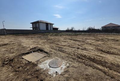 Teren în Cernica - 5