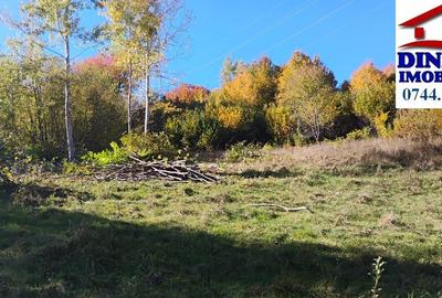 3600 mp teren intravilan, sat Bistrita, 12 Euro/mp - 1