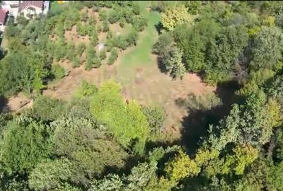 Teren Construcții intravilan de 10537 mp, în Filipești (Bogdănești) - 2