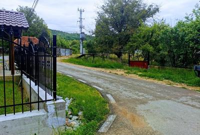 2335 mp TEREN INTRAVILAN, Negreni – Cluj, la 100 m de E60 Cluj – Oradea - 17