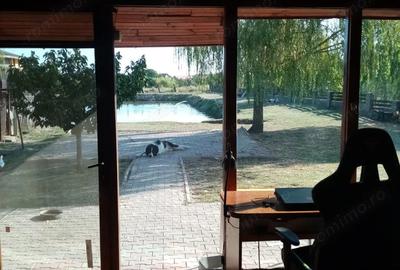 Proprietate de vanzare 3690 mp cu balta populata - 5