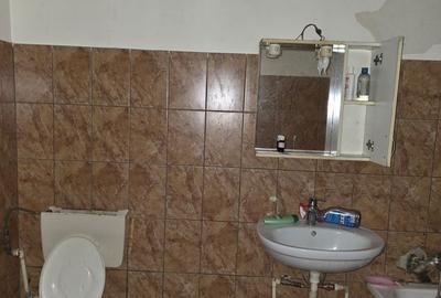 Spațiu comercial, în Dămăroaia - 5