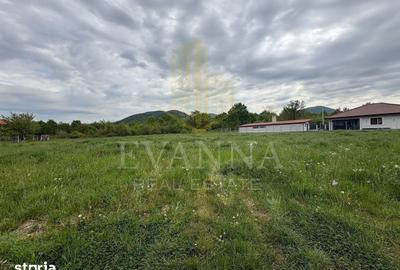Teren de 3000 mp, în Mireșu Mare - 3