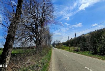 Teren de 10000 mp, în Vânători-Neamț - 1