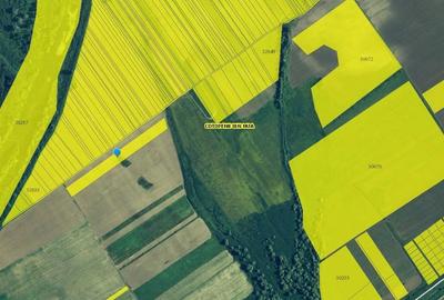 Teren extravilan Cotofanii din Fata 12,500 mp, Dolj - 3001407 - 1