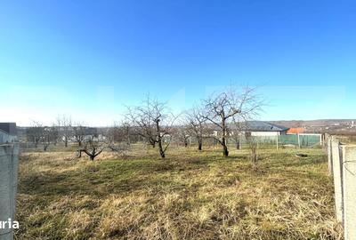 Spațiu comercial, în Central