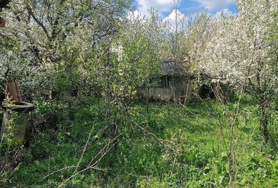 Teren de 3800 mp, în Moșteni - 4
