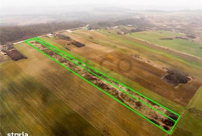 Teren de 13041 mp, în Sârbi - 1