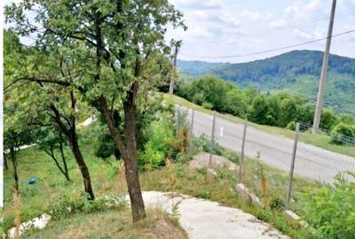 Casă cu 3 camere cu Teren 700 Mp în Central - 13